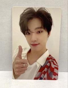 SEVENTEEN セブチ 舞い落ちる花びら CARAT ディノ