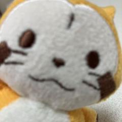 ラスカル ぬいぐるみマスコット ストラップ付き