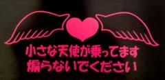 No.646 天使乗ってますカッティングステッカーのサムネイル