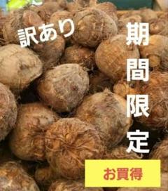 【訳あり】黄金里芋　種芋　大和芋　 宅急便　40kg　さといも　サトイモ e71ee59dc9b2385982f38bdf9522f4