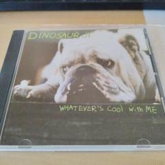 Dinosaur Jr Whatever's Cool with Me - メルカリ