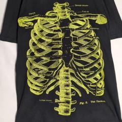 Tシャツ 黒 スカル 骨格 Mサイズ