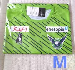 クラブ史上“初のデザイン”に！ガイナーレ鳥取、2023新