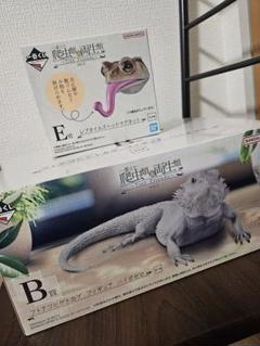一番くじ 爬虫類＆両生類 レプタイルズヘッドマグネット　フトアゴヒゲトカゲ