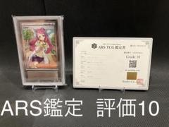 2025年最新】ARS10 ミモザの人気アイテム - メルカリ