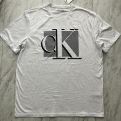 Calvin Klein カルバンクライン　ホワイト　ロゴtシャツ Lサイズ