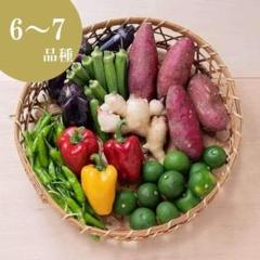 旬の高知野菜詰め合わせ6~7種(クール配送・送料込)