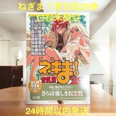 魔法先生ネギま！ KCM限定版 23～25、27～36巻 セット 51XDM126MEL.jpg
