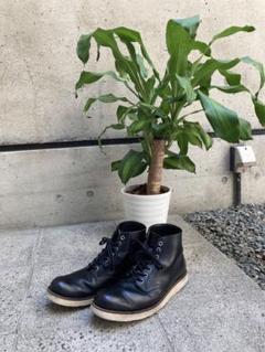 green label relaxing　ワークブーツのサムネイル