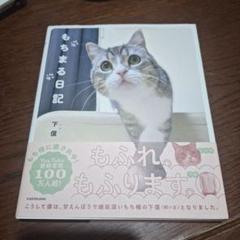 もちまる日記 書籍