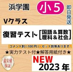 :浜学園　最新版　2024年　小5　復習テスト　Vクラス　算国理　3科目 浜学園 最新版 2024年 小5 復習テスト Vクラス 算国理 3