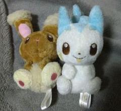 ポケットモンスター　ミミロル　パチリス　キャンバス　ぬいぐるみ