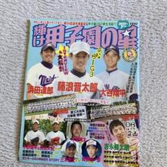 オーナーズリーグ　大谷翔平 藤浪晋太郎ルーキーカードセット ベースボール・マガジン社 BBM＠BOOK CART