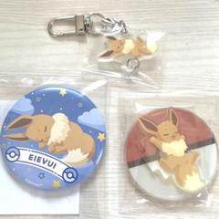 ポケモンスリープ 渋谷 缶バッジ 6点セット ポケモンスリープ ポケスリ 渋谷 アクリルチャーム アクリル