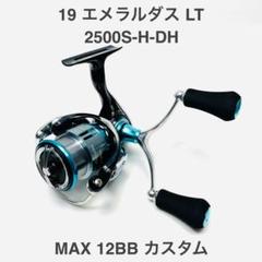 DAIWA - 【中古/極上品】 ダイワ 19 エメラルダス LT 2500S-DH   /R347M DAIWA - 【中古/極上品】 ダイワ 19 エメラルダス LT 2500S-DH