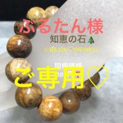 p7★特選一品★希少☆木化石【15-15.5mmペトリファイドウッド珪化木】❤ 楽天市場】ペトリファイドウッドの通販