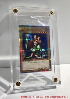 クリアー2枚 秘蔵ペスアクリル 秘蔵レア未開封品 保管用部品