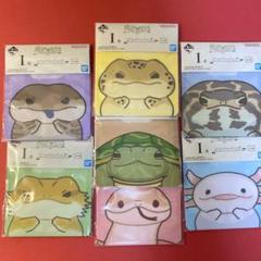 一番くじ 爬虫類＆両生類 vol.2 I賞 ジッパーバッグ 全7種 コンプ