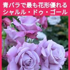シャルル フランス 香水の中古 未使用品を探そう メルカリ シャルル フランス 香水の中古 未使用品を探そう メルカリ