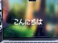 MacBook Air M4 13in 16GB 512GB シルバー ほぼ新品