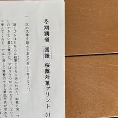 m10629806877_1.jpg?1677030648
