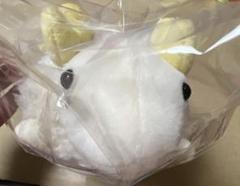あらまとん ぬいぐるみ 荒牧慶彦 - メルカリ