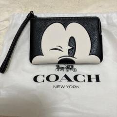 2024年最新】coachディズニー100周年の人気アイテム - メルカリ