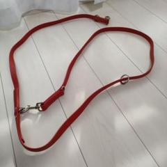 レッドペットリード