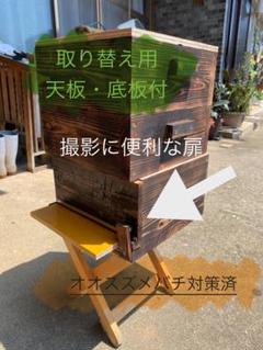 巣箱内の撮影に便利な扉付き】日本蜜蜂の重箱式巣箱3段