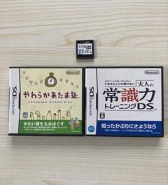 DS やわらかあたま塾 、大人の常識力トレーニング　　大人の漢字練習完全版セット