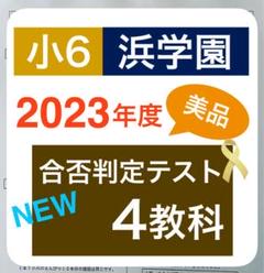 浜学園　小６　合否判定学力テスト　３年分　４教科 4科目 3年分 浜学園 最新版 合否判定テスト 小6 2022年度