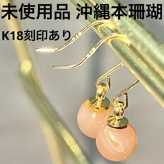 【未使用品】本珊瑚 K18 18金 18K ピアス 沖縄 2025年最新】K18 本珊瑚 ピアスの人気アイテム - メルカリ