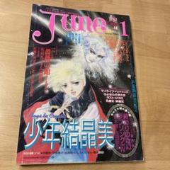 小説june ジュネ　2冊　まとめ売り　雑誌 雑誌 小説 JUNE まとめ売り