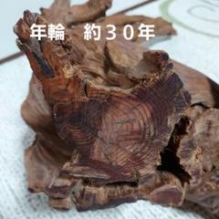 木の根っこの置物 木の置物 ぼく天然木 高さ約39cm 幅約43cm