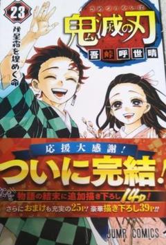 機動戦士ガンダムmsv R 宇宙世紀英雄伝説 虹霓のシン マツナガ 1 メルカリ