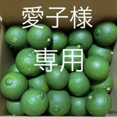 かぼす・新生姜セット 4㎏ (農薬不使用)