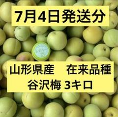 2025年最新】谷沢梅の人気アイテム - メルカリ