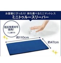 新品未使用！ミニトゥルースリーパー　ごろ寝マット　腰らくクッション　2組セット トゥルースリーパー 【正規品】 新品 TrueSleeper ごろ寝マット