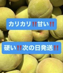 2025年最新】桃 10kgの人気アイテム - メルカリ