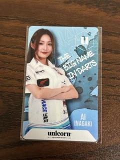専用 稲垣亜衣 ダーツライブカード 2枚 EaFWenLUcAUTES4.jpg