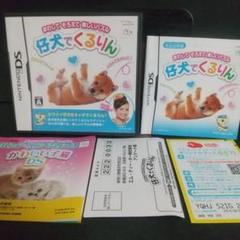 仔犬でくるりん