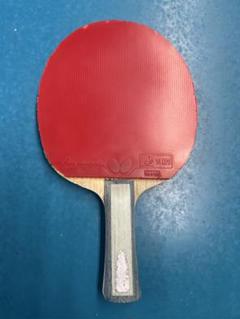 最終値下げ インナーフォースレイヤー ALC FL 両面ディグニクス05