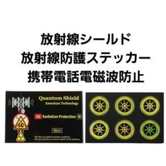 Quantum therapy 量子療法　特典究極の検査法EST他 中里俊隆先生 71y12xOchhL._UF350,350_QL50_.jpg