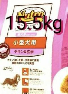 ニュートロナチュラルチョイス成犬15㎏中型犬〜大型犬チキン&玄米値下げ不可 Amazon.co.jp: Nutro ナチュラルチョイス 中型犬~大型犬用 成犬
