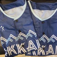 2枚セット　WE LOVE HOKKAIDO &FIGHTERS　ユニフォーム