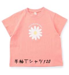半袖Tシャツ 花柄 120