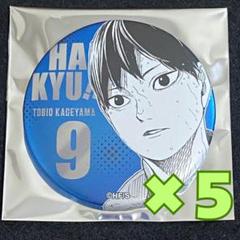 ハイキュー!! ファンパーク　デコレクション缶バッジ　第3弾　影山飛雄5点