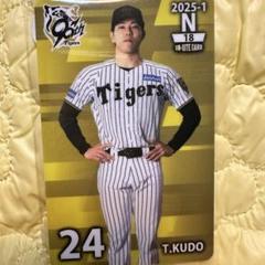 m10775529049_1.jpg?1749294358