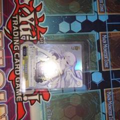 WS 皆を見送る役目 かなで SP - メルカリ