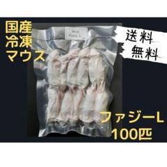 国産 冷凍マウス ファジー L 100匹 (送料無料一部地域発送不可
